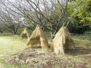 完成した簡単竪穴住居
